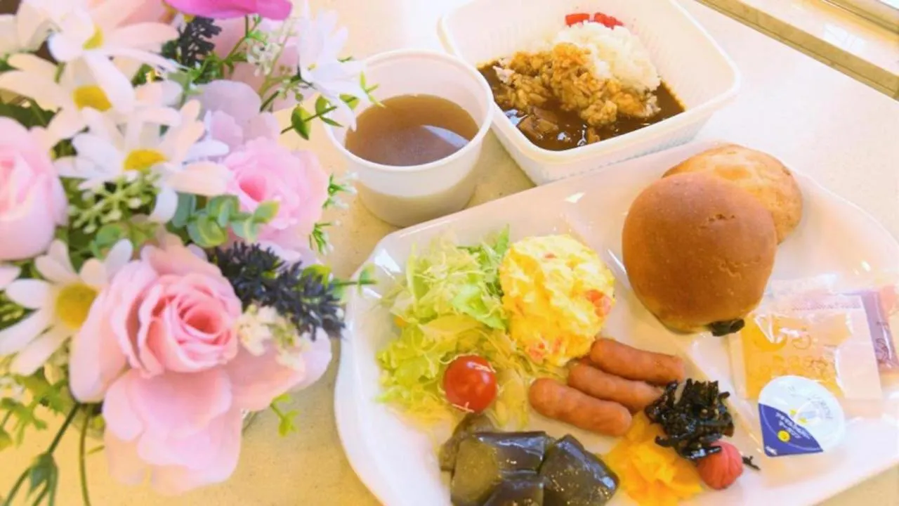 *** Hotel Toyoko Inn Shin-Osaka Higashi-Mikuni Ekimae Japon
